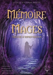 Mémoire des mages Le Rideau Rouge Affiche