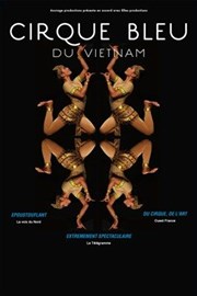 Cirque bleu du Vietnam Thtre de Longjumeau Affiche