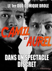 Camil et Aurel dans Un Spectacle Discret Le Repaire de la Comdie Affiche