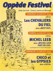 Michel Leeb dans Michel Leeb part en live Espace Jardin de Madame Affiche