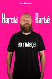 Harold Barbé | En rodage Espace Gerson Affiche