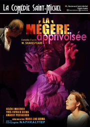 La mégère apprivoisée La Comdie Saint Michel - grande salle Affiche