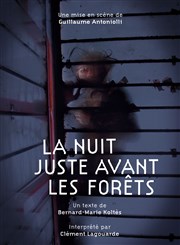 La Nuit juste avant les forêts Thtre Pixel Affiche