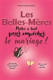 Les belles mères We welcome Affiche