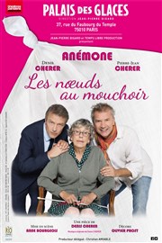 Les noeuds au mouchoir | avec Anémone Palais des Glaces - grande salle Affiche