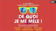 De quoi je me mêle ! Caf Thtre Ct Rocher Affiche