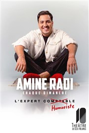 Amine Radi dans L'Expert Humoriste Thtre de Dix Heures Affiche