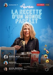 Auréa dans La recette d'un monde parfait Comdie de Rennes Affiche