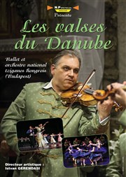 Les valses du Danube Thtre Armande Bjart Affiche