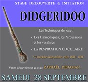 Stage découverte et initiation au Didgeridoo Feeling Musique Affiche