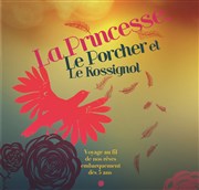 La princesse, le porcher et le rossignol Thtre La Jonquire Affiche