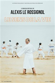 Alexis Le Rossignol dans Le sens de la vie Thtre Sbastopol Affiche