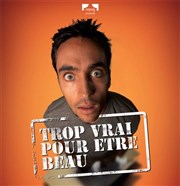 Nicolas Van Beveren dans Trop vrai pour être beau Thtre Le Bout Affiche