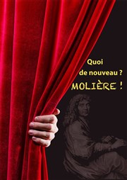 Quoi de nouveau ? Molière ! Thtre de l'Ile Saint-Louis Paul Rey Affiche