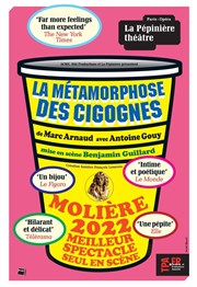 La métamorphose des cigognes La Ppinire Thtre Affiche