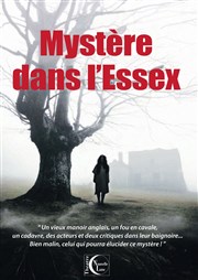 Mystère dans l'Essex Salle Louis Renard Affiche