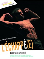 L'Echappé(e) Nouveau Gare au Thtre Affiche