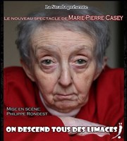 Marie-Pierre Casey dans On descend tous des limaces ! Tho Thtre - Salle Tho Affiche