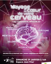 Les maîtres de la magie : Voyage au coeur de votre cerveau espace Jean Vilar Affiche