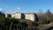 Masterclasses de chant lyrique Chateau de Ngrepelisse Affiche