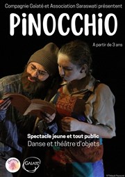 Pinocchio Le Petit Thtre de Nivelle Affiche