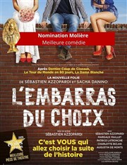 L'embarras du choix Espace Saint-Exupery Affiche