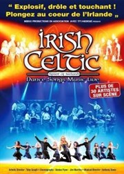 Irish Celtic Palais des Congrs de Paris Affiche