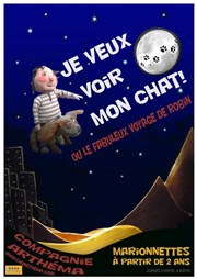 Je veux voir mon chat ou le fabuleux voyage de Robin Le Raimu Affiche