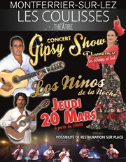 Gipsy concert show Les Coulisses d'Amlie Affiche