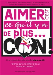 Aimer c'est ce qu'il y a de plus... con ! Paradise Rpublique Affiche