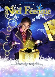 Noël Féerique Le Dme Affiche