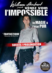 William Arribart dans Venez voir l'impossible Radiant-Bellevue Affiche