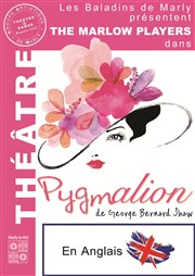 Pygmalion Centre Culturel Jean Vilar Affiche