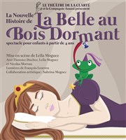 La nouvelle histoire de La belle aux bois dormant Thtre de la Clart Affiche