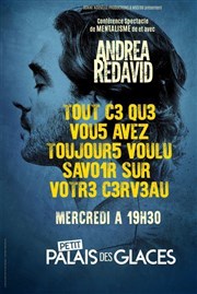 Andrea Redavid dans Tout ce que vous avez toujours voulu savoir sur votre cerveau Petit Palais des Glaces Affiche