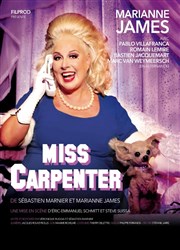 Miss Carpenter | Avec Marianne James Thtre Silvia Monfort Saint-Brice Affiche