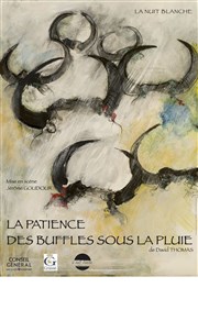 La patience des buffles sous la pluie Espace du Thiey Affiche