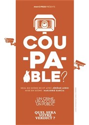 Coupable ? Pixel Avignon - Salle Bayaf Affiche