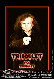 Pierre Triboulet dans Triboulet par Triboulet La Cantada ll Affiche