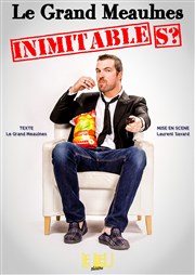 Le grand Meaulnes dans Inimitable(s) ? Le Lieu Affiche