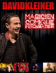 David Kleiner Cabaret l'Ane Rouge Affiche