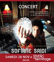 Sofiane Saidi Studio de L'Ermitage Affiche