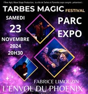 Fabrice Limouzin dans L'Envol du Phoenix Parc des expositions de Tarbes Affiche