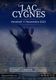 Le lac des Cygnes Thtre de la Mditerrane - Espace Comdia Affiche