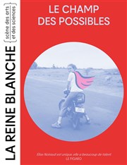 Le Champ des possibles | Élise : chapitre 3 La Reine Blanche Affiche