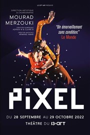 Pixel Thtre Le 13me Art - Grande salle Affiche