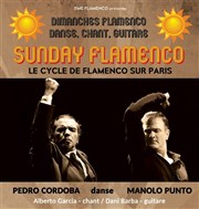 Sunday Flamenco Pniche Antipode Affiche