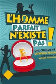 L'homme parfait n'existe pas ! Thtre  l'Ouest Affiche