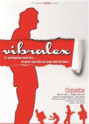 Vibralex Centre d'animation Le point du jour Affiche