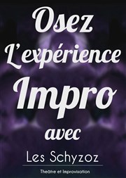 Osez l'expérience Improvisation ! Cercle Bellecombe Affiche